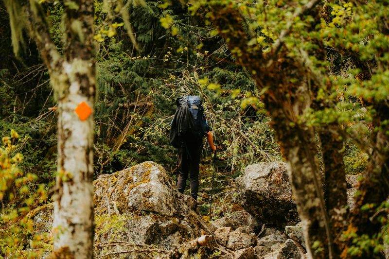 Harbour Peak Hiking Co. 3